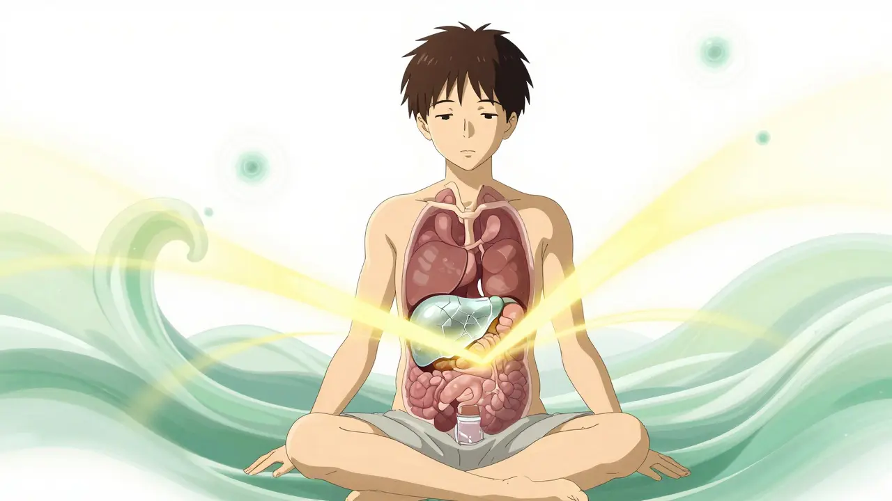 Conceptual anime art showing fragile spleen protected by rest and gentle light during recovery